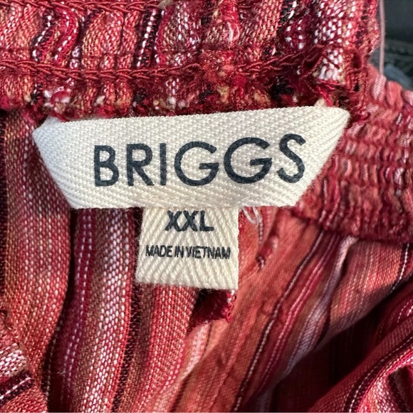 NWT Briggs RED Stripe Woman's Linen/Rayon 4-pocket Pull-on SHORTS ~ Size XXL - Picture 6 of 8